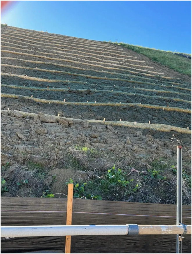 Hydroseeding and Erosion 