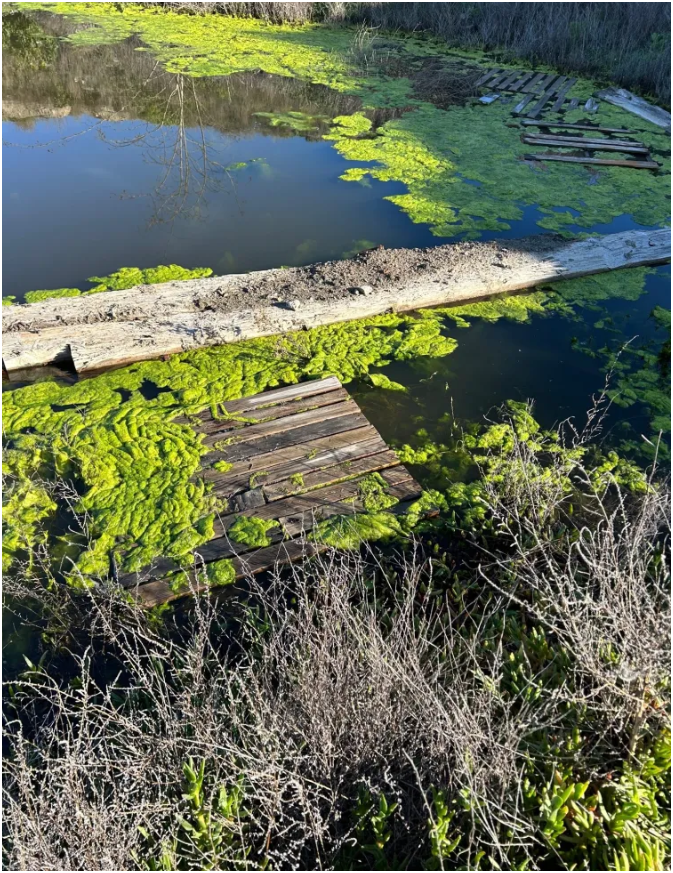 Watershed Protection