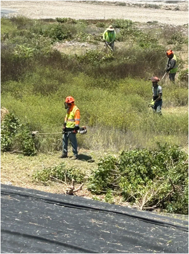 Weed Abatement, Landscaping