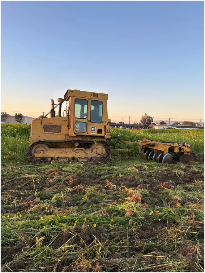 Weed Control